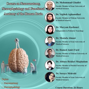 Course on Neuroanatomy, Neurophysiology and Functional Anatomy of the Human Brain